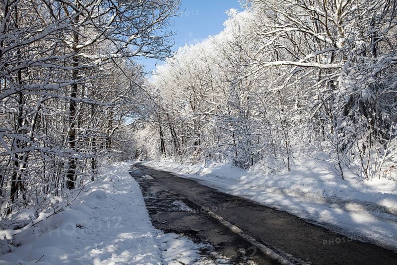 A Forest path near the road L707 in winter, Märzenbecher path, between Reblin and Valbert, Meinerzhagen, Nordhelle, Ebbe Mountain Nature Park, Sauerland, North Rhine-Westphalia, Germany
