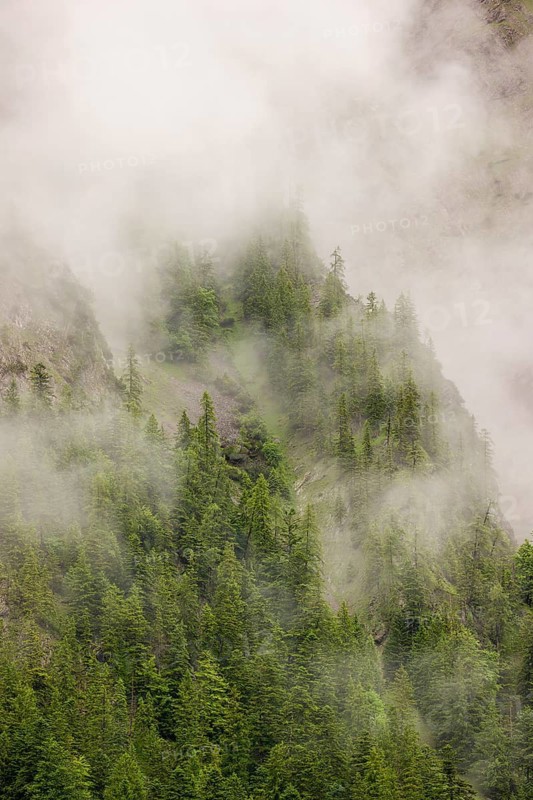 Wisps of mist cover the Karwendel mountains in the Großer Ahornboden nature reserve, Eng Valley, Tyrol, Austria