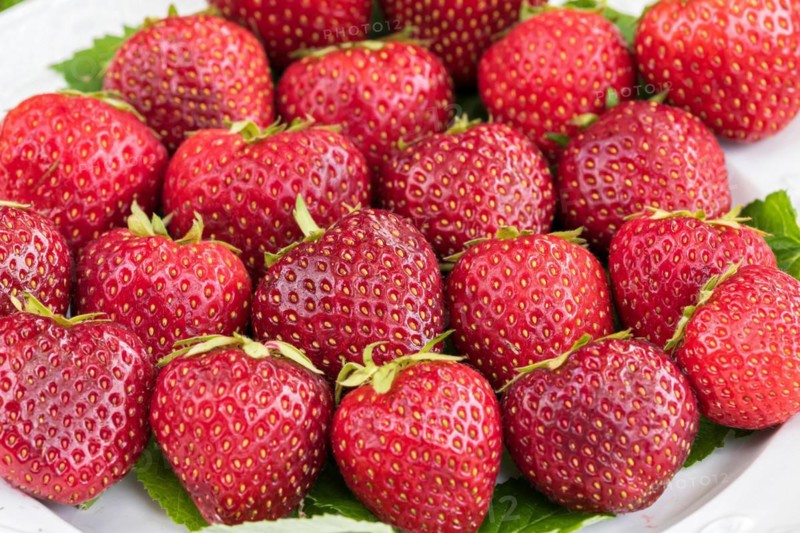 Red-fleshed strawberry, Germany