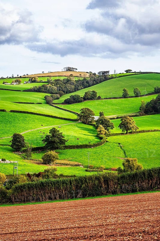 Colours of Devon Farms and Fields over Paignton and Berry Pomeroy, Totnes, England, United Kingdom