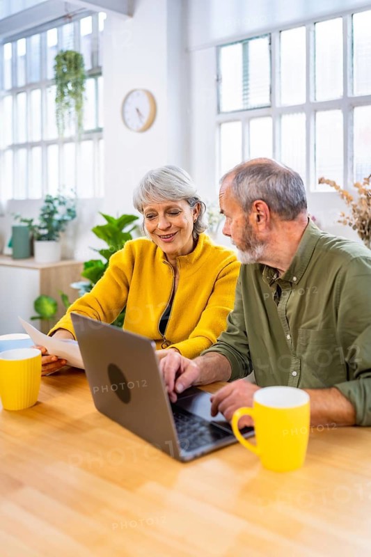 Vertical side view photo of a caucasian senior couple reviewing domestic financials using laptop at home