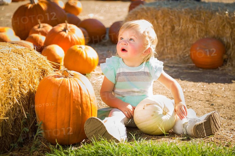 Adorable Baby Girl Having Fun in a Rustic Ranch Setting at the Pumpkin Patch