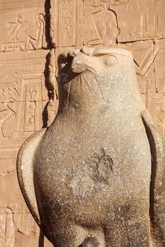 Horus statue, Edfu temple, Horus temple, Edfu, Egypt