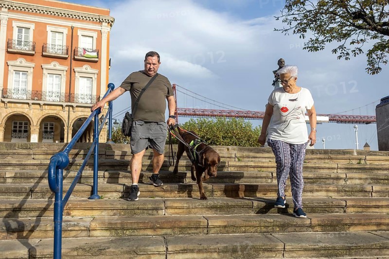 Two persons, accompanied by a guide dog, descends stone steps. A large bridge and building are visible in the background, capturing a blend of urban architecture and nature