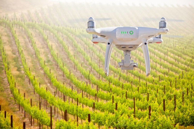 Unmanned Aircraft System (UAV) Quadcopter Drone In The Air Over Grape Vineyard Farm