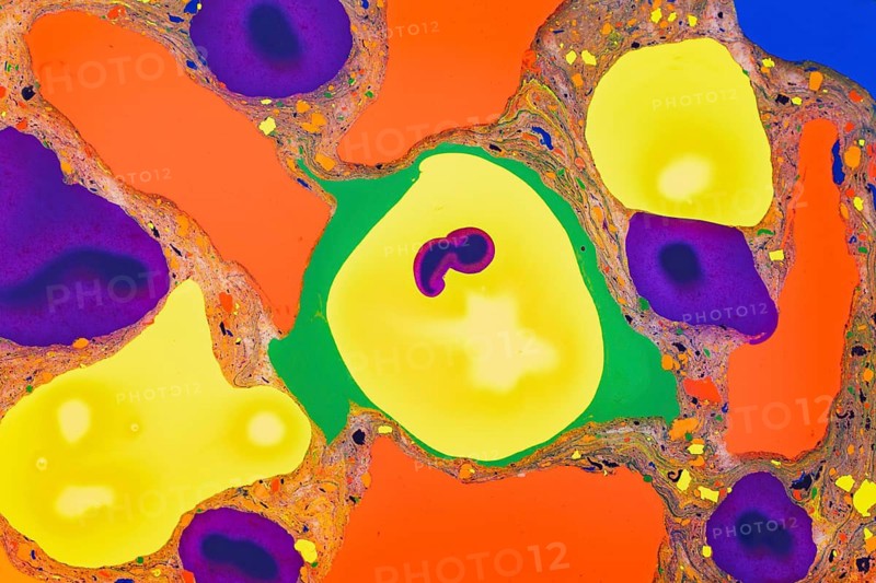 A vibrant array of mixed colors, showcasing a striking fluid art pattern. The use of bold yellow, purple, and green creates a visually captivating effect