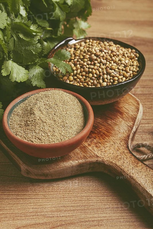 A bunch of fresh cilantro, coriander seeds and powder bowls, close-up, top view, no people, food and drinks