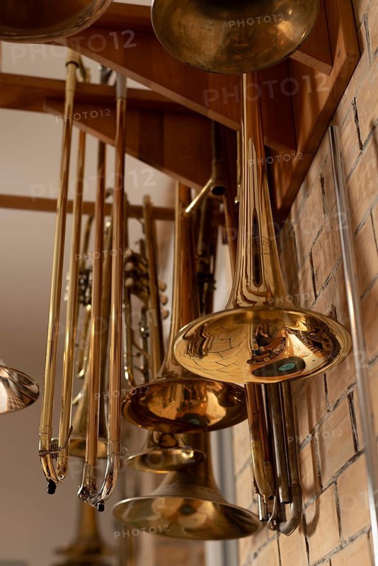Golden trombones hanging on a wall, Magdeburg, Saxony-Anhalt, Germany