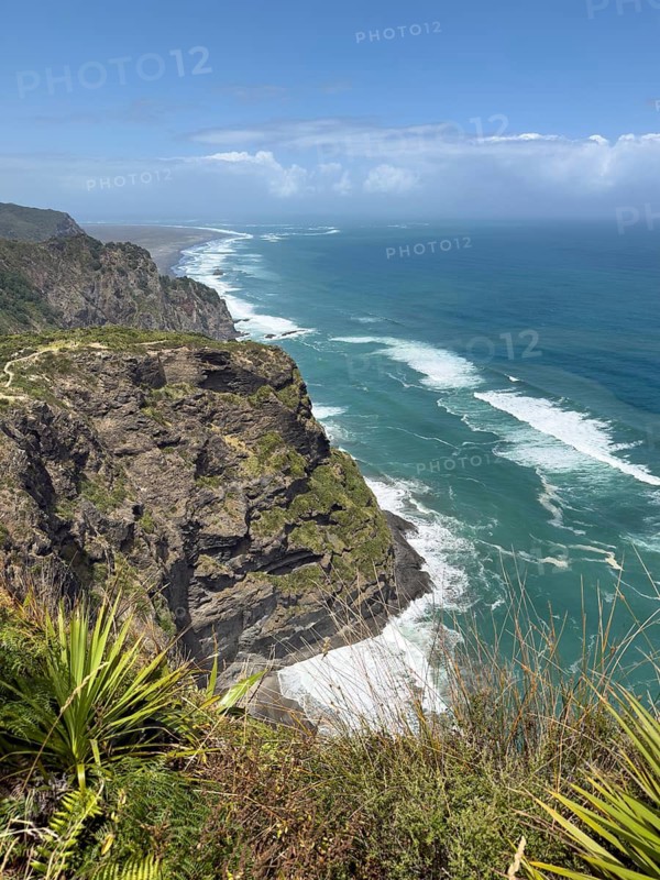 Breathtaking cliffs overlooking the turquoise blue sea and wild vegetation at Mercer Bay Loop Walk Lookout, North Island, New Zealand, Oceania