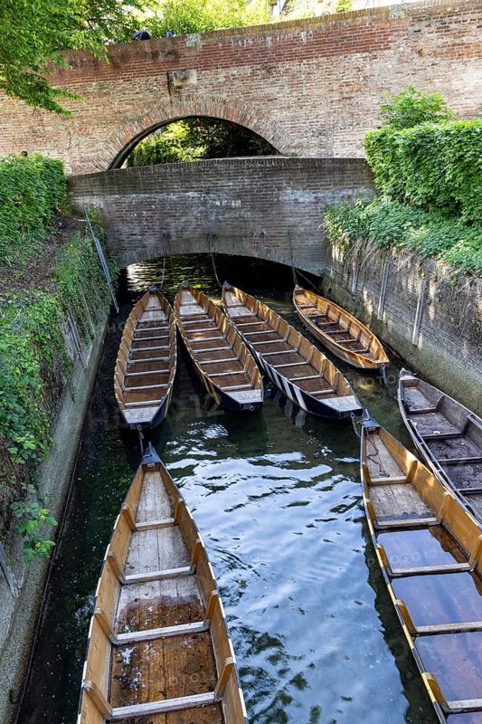 Ulm barges in the estuary of the Blau. Specially constructed vessels of the Ulm fishermen and merchants. Ulm, Baden-Württemberg, Germany