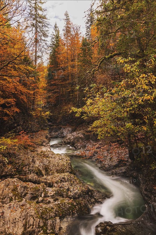 Landscape, river, autumn, colourful, discolouration, leaves, mountain river, long exposure, moss, yellow, red, Kreuth, Bavaria, Germany