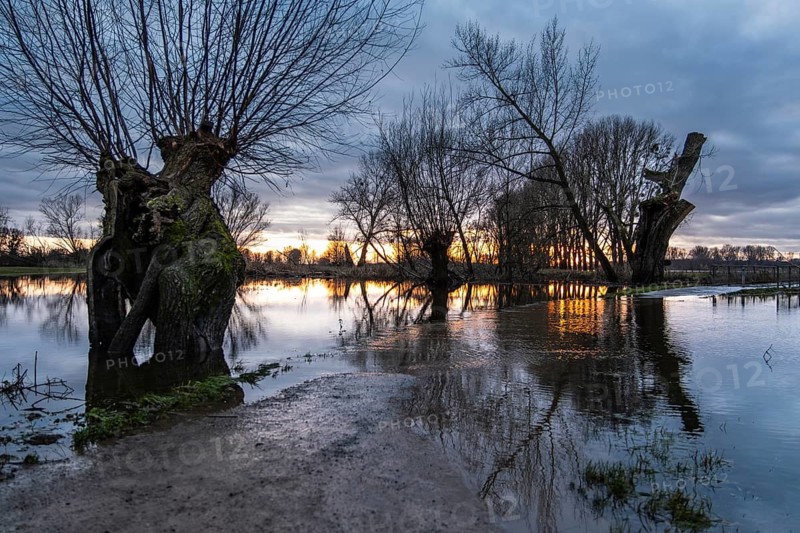 Flood on the Rhine near Düsseldorf, Germany