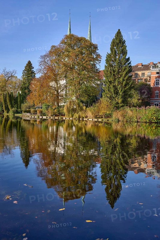 Mill pond with trees, general development, reflections on the water surface, Hanseatic city of Lübeck, Schleswig-Holstein, Germany