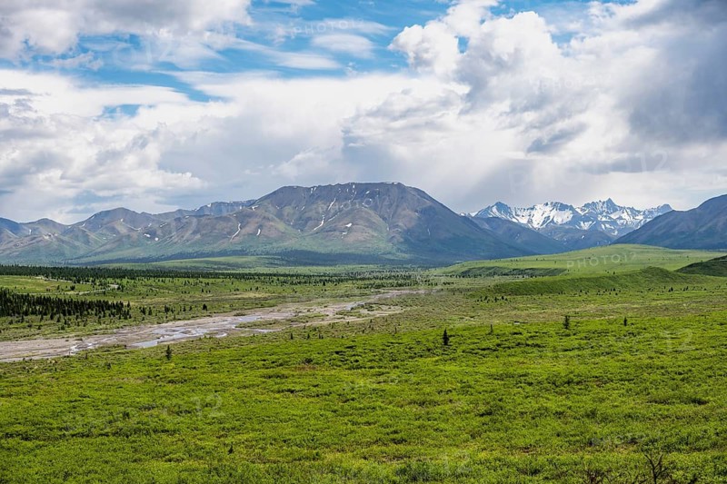 Savage River, tundra and mountainous landscape, Denali National Park, Alaska, USA