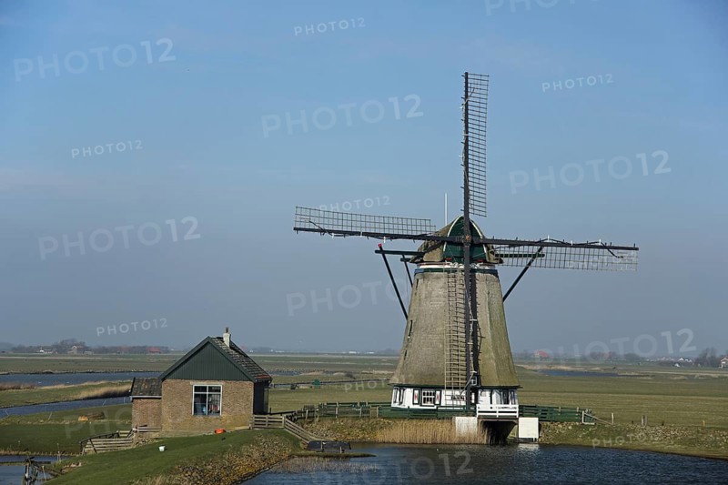 Windmill and house with pond, landscape, Oost, Texel, North Holland, Holland, Netherlands