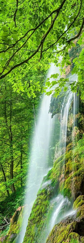 The Urach waterfall falls over rocks with moss cushions, surrounded by green forest, Swabian Alb, Bad Urach, Baden-Württemberg, Germany
