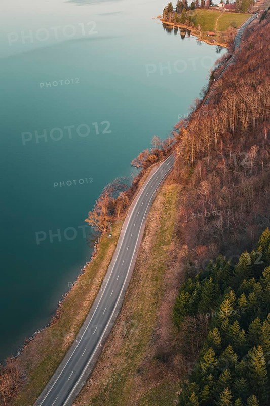Waterfront road along a lake with adjacent forest edge and clear waterlines, Großer Alpsee, Immenstadt im Allgäu, Bavaria, Germany