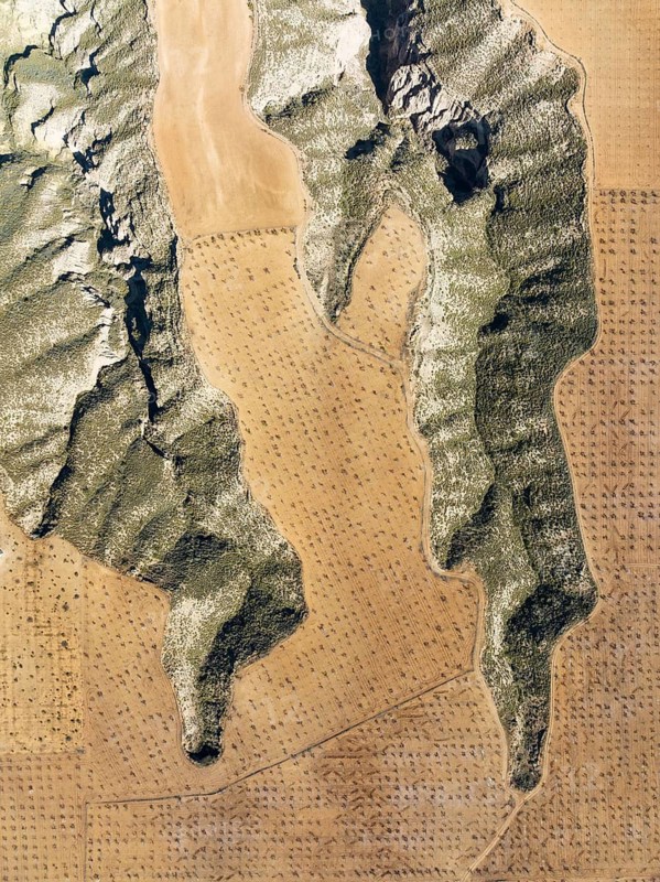 Canyons and gorges cut into the surrounding cultivated land, aerial view, drone shot, Gorafe Desert, UNESCO Granada Geopark, Granada province, Andalusia, Spain