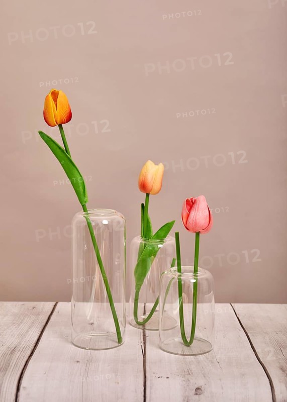 Three colorful tulips in glass vases on a rustic wooden surface, with a neutral background, creating an artistic and serene floral arrangement ideal for home decor inspiration