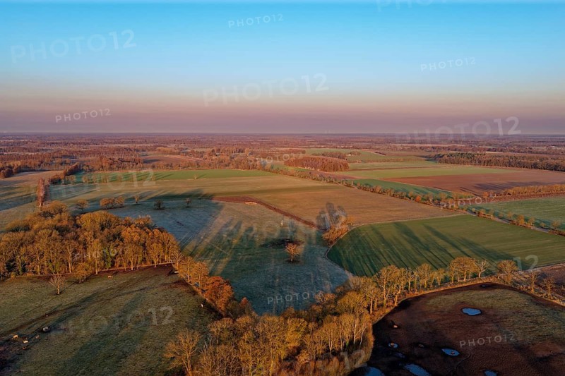 Landscape in the Drömling UNESCO Biosphere Reserve in the Altmark early in the morning on a cold spring day. aerial view. Dannenfeld, Gardelegen, Saxony-Anhalt, Germany