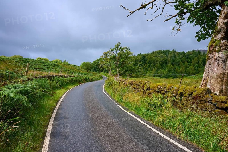 A country road crosses a green landscape flanked by trees and a stone wall under a cloudy sky, Scotland, United Kingdom, Great Britain