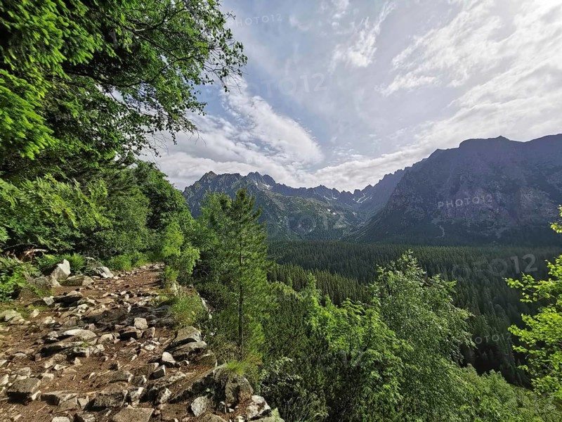 Rocky hiking trail with a view of a valley, surrounded by forests and mountain views, Rysy, High Tatras, Slovakia