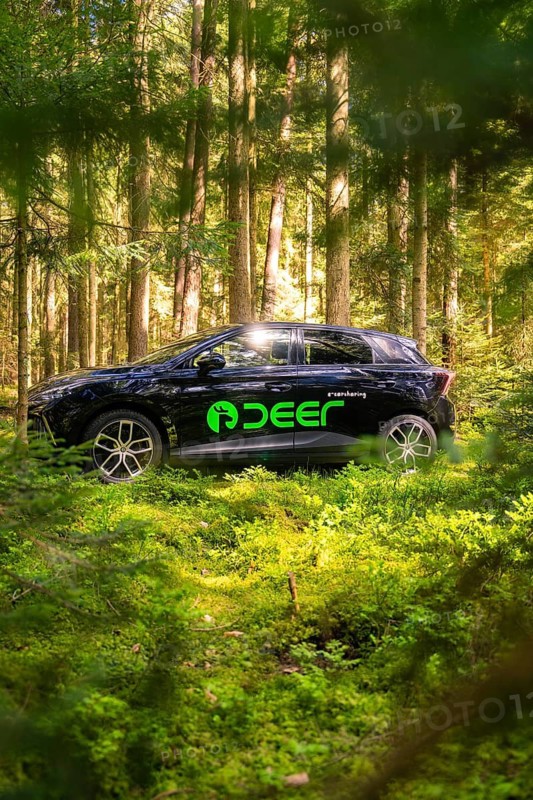 Black vehicle parked in a wooded area, surrounded by sunlight, Deer E- Carsharing, Calw, Black Forest, Germany