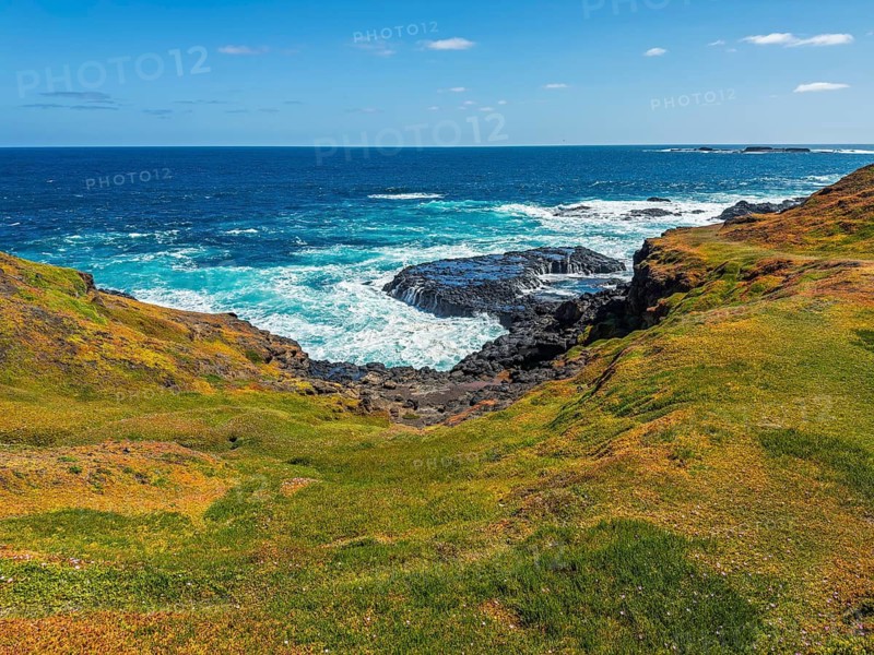 A stunning coastal cliff with lush green grass overlooks the vast ocean in Phillip Island, Australia. Waves crash against the rocky shoreline under a clear blue sky, creating a natural landscape