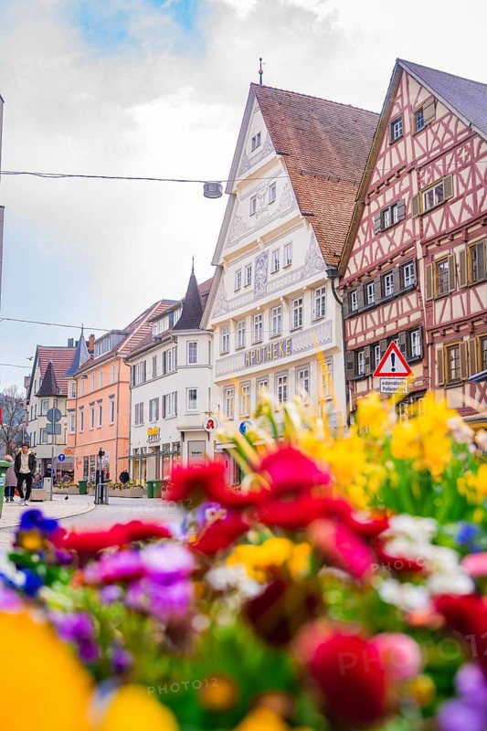 View of old town street with half-timbered houses and colourful spring flowers, Nagold, Black Forest, Germany