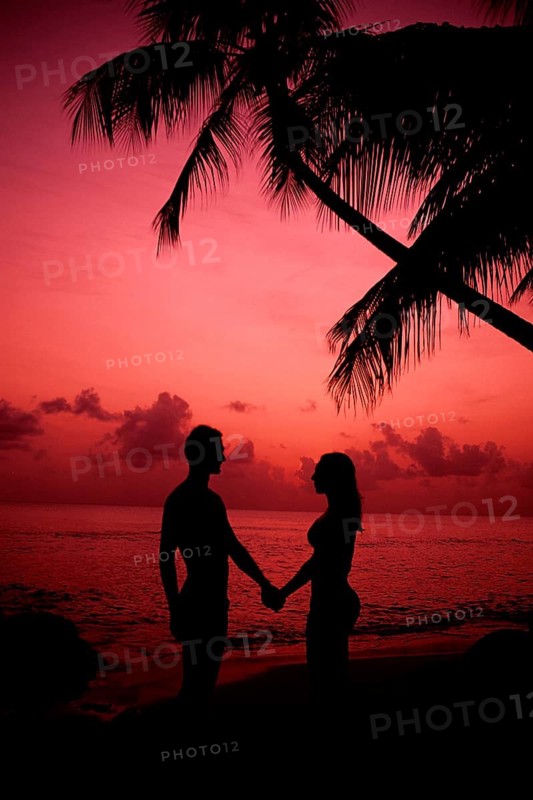 A romantic couple in front of a sunset in the Caribbean, silhouette, palm trees, palm beach, Tobago Tobago, Caribbean