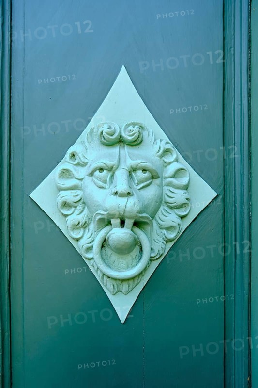 Old historical door knocker with lion's face on the coffered panel of a green door leaf
