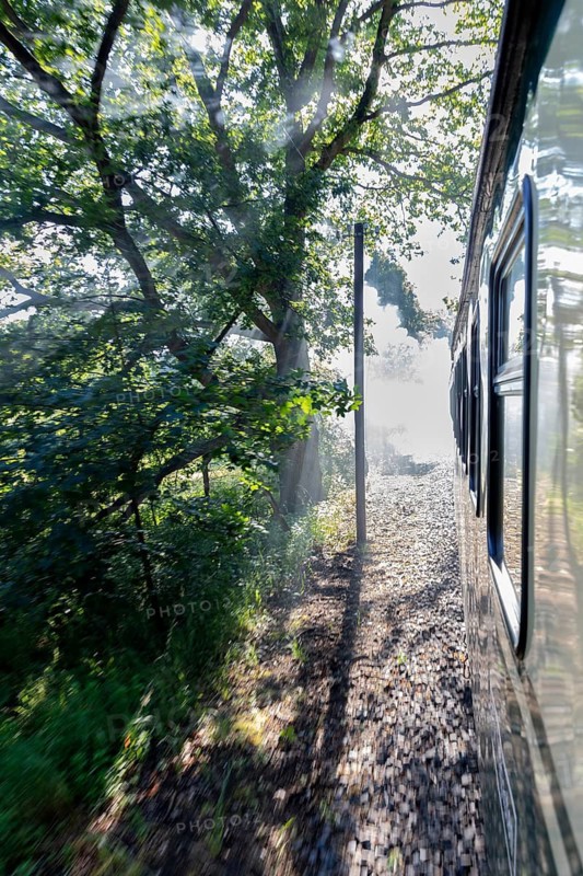 Train runs through a wooded section with lighting effects, Rügen, Rasender Roland