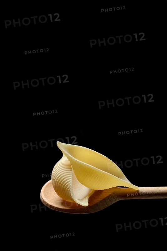 Conchiglione, Italian pasta variety on cooking spoon in front of black background, Italy