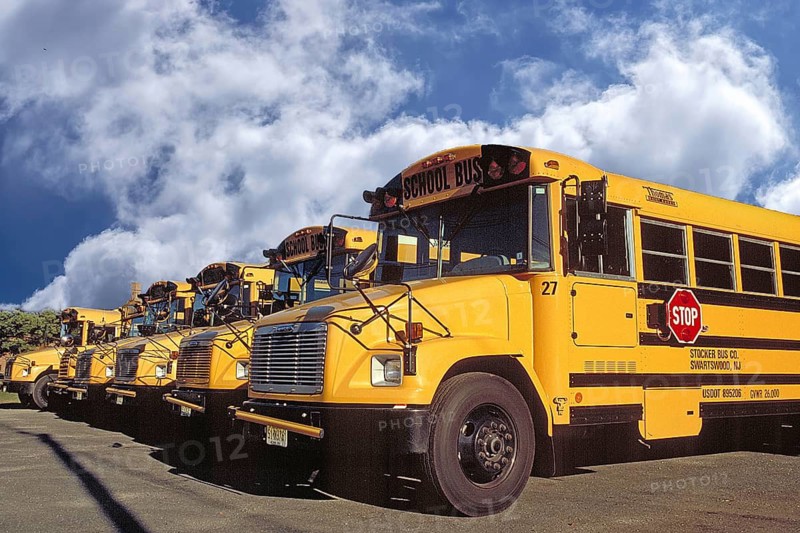 American school buses in a row ready for departure, Newton, New Jersey, USA