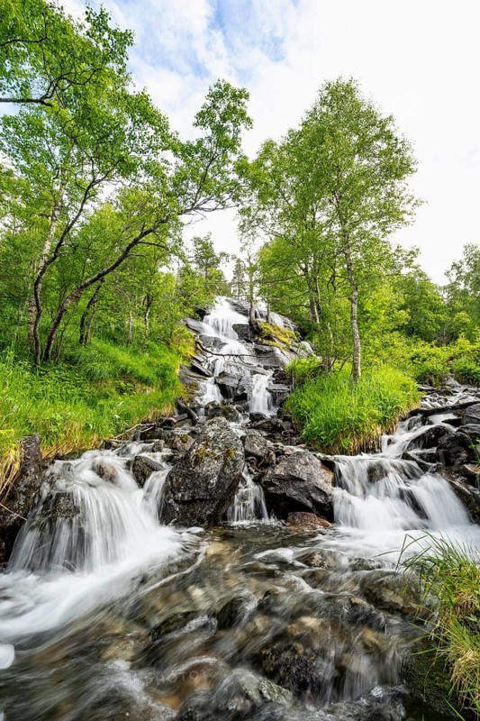 Waterfall in forest between birch trees, long exposure, Innerdalen, Hochtal, Sunndal, Møre og Romsdal, Vestlandet, Norway