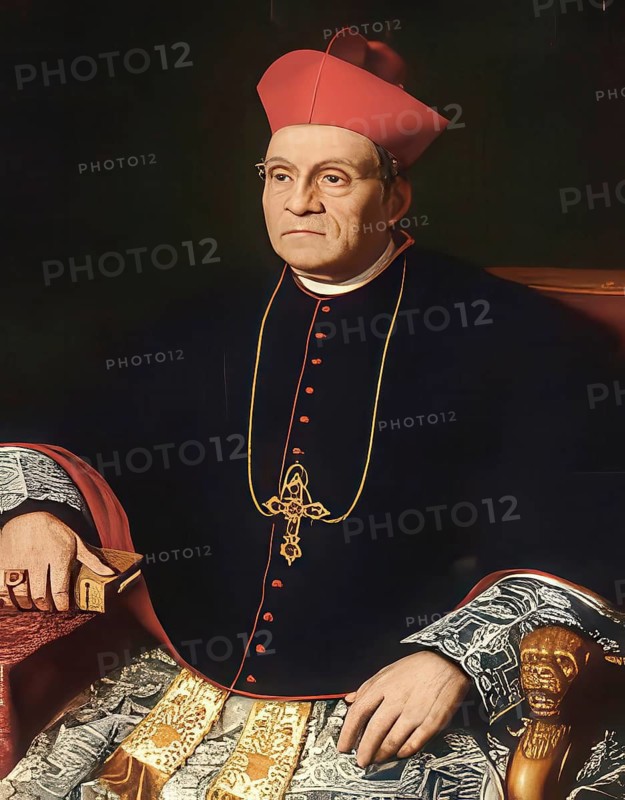 Michelangelo Cardinal Celesia, baptismal name Pietro Geremia Celesia, (born 13 January 1814 in Palermo, died 14 April 1904 in Palermo) was an Italian religious clergyman and Roman Catholic Archbishop of Palermo, reproduction from an original of the time, historical, digitally enhanced
