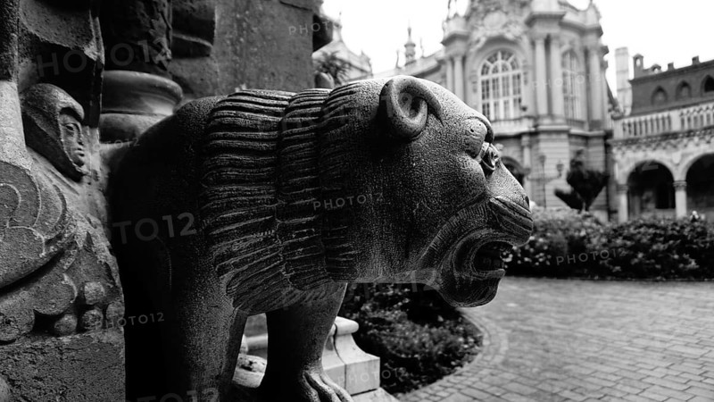 Close-up view of a lion sculpture in front of a historic building in black and white, Budapest