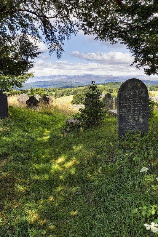 Old gravestones in a meadow, graves in a cemetery, St Garmons Church, Capel Garmon, Conwy, Wales, Great Britain