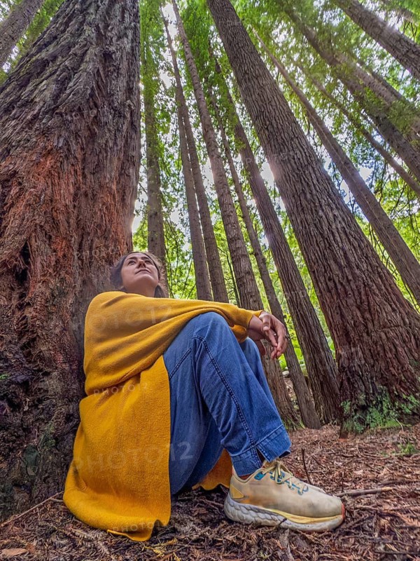 A woman in a yellow coat sits serenely against a giant tree, surrounded by towering forest trees reaching skyward, creating a peaceful, contemplative atmosphere in the Great Ocean Road, Australia