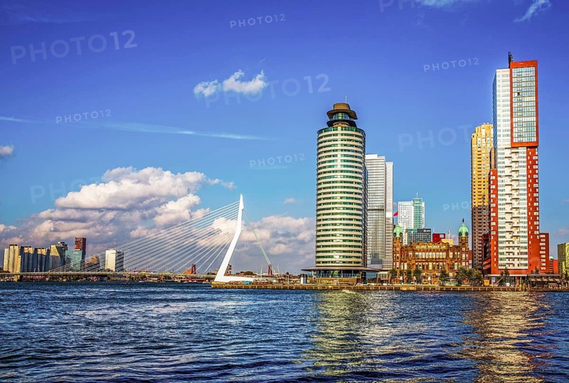 Erasmus Bridge, city panorama, Rotterdam, Netherlands