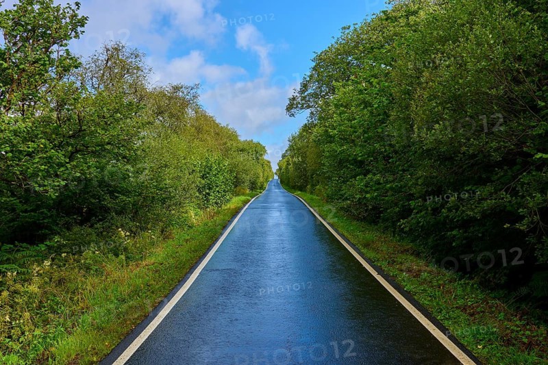 A long, straight road through a green landscape under a sunny blue sky, Tarbert, Loch Fyne, Scotland, United Kingdom, United Kingdom