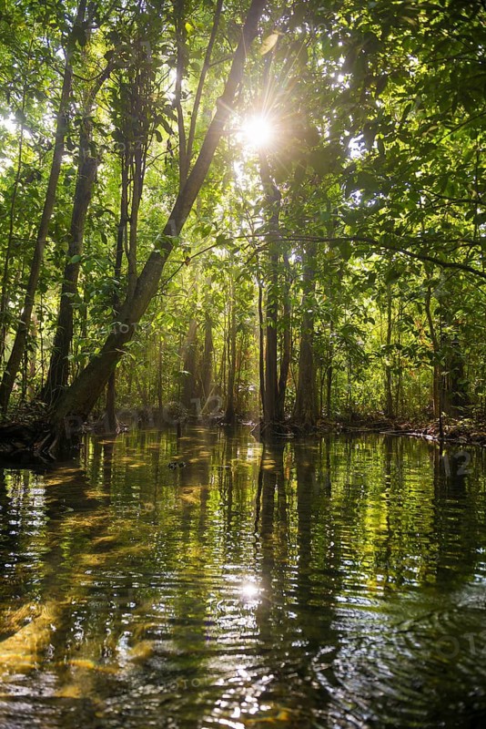 Lagoon, Klong Rud, Klong Nam Sai, Ao Nang, Krabi, Thailand