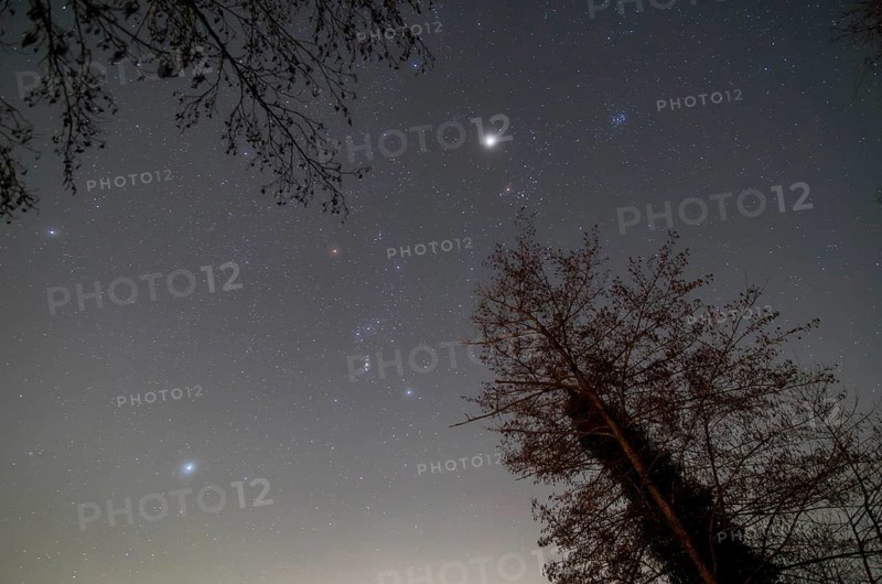 A stunning night sky featuring the Orion and Taurus constellations. The bright planet Jupiter, the star Sirius, and the Pleiades cluster enhance the celestial view