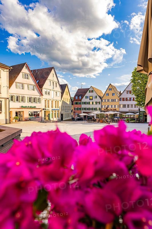 Colourful houses in an old town under a blue sky with clouds and flowers in the foreground, Weil der Stadt, Böblingen district, Germany