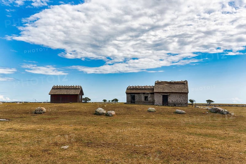 Limestone houses with thatched roofs, Alvar, barren, treeless landscape with thin vegetation on limestone, UNESCO World Heritage Site, South Öland island, Kalmar län, Sweden