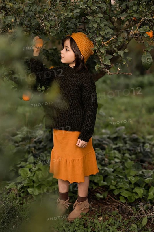 A girl wearing a cozy sweater and hat stands in a lush garden, reaching for an orange on a tree. The scene captures the beauty of nature and the joy of discovery