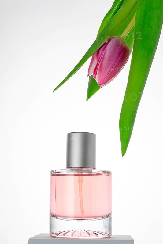 A striking image showcasing a delicate pink perfume bottle beside a gracefully draped pink tulip, conveying a sense of elegance and fresh fragrance