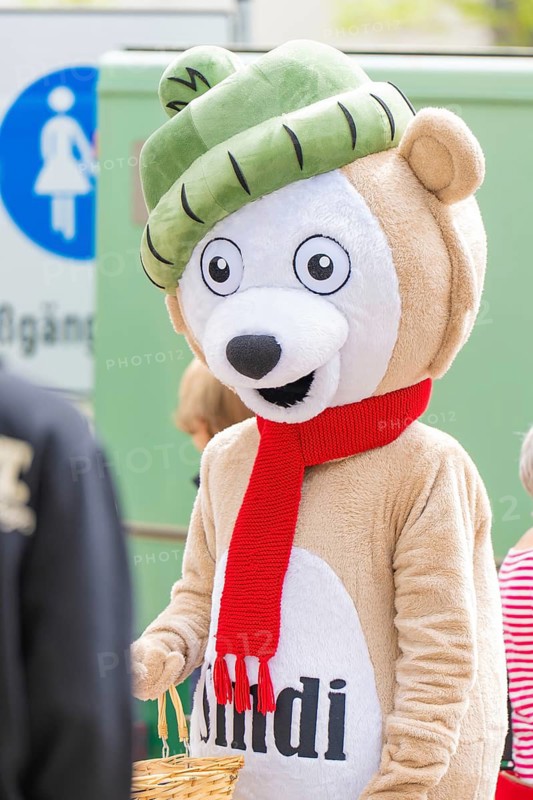 Person dressed as a bear at a public event on the street, Sindelfingen, district of Böblingen, Germany