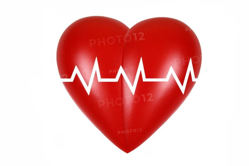 Heart, organ, body part, heart rate, heartbeat, studio