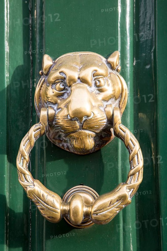 Brass face head lion door knocker, Devizes, Wiltshire, England, UK